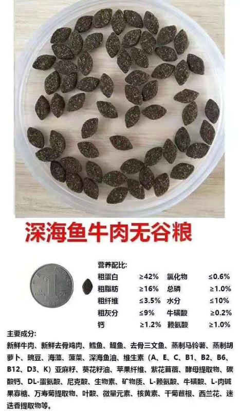 汉中鲜肉狗粮代工