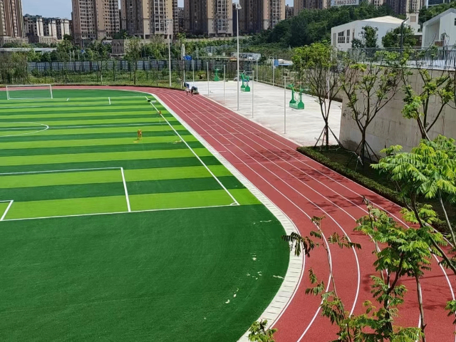 嘉興足球場人造草坪廠家 廣東雙贏體育設施供應