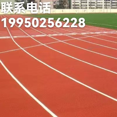 塑胶跑道 塑胶跑道施工 塑胶跑道材料厂家 塑胶跑道尺寸