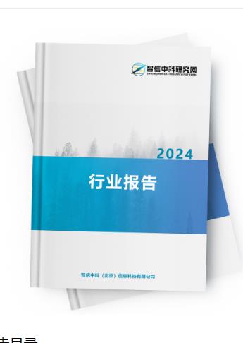 2024-2030年工业货运代理解决方案行业竞争态势及发展策略研究报告