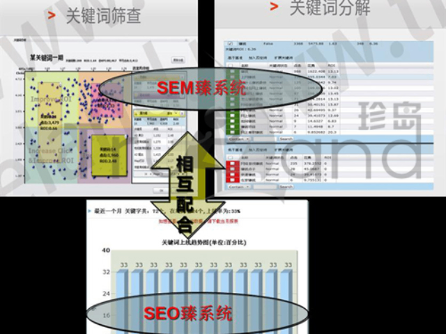 馬尾區SEO優化效果 福建珍云數字科技供應 福建珍云數字科技供應