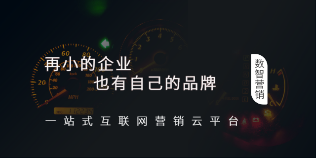 海南项目互联网营销平台 客户至上 海南立思创想文化科技供应