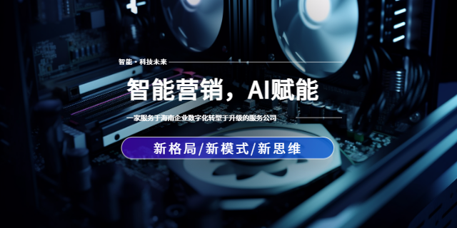 海南企業互聯網營銷范圍 線上營銷 海南立思創想文化科技供應