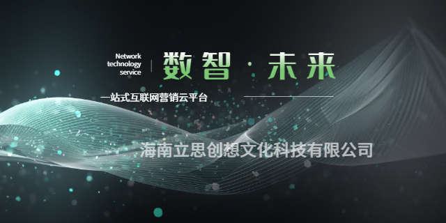 海南互联网互联网营销方案 欢迎来电 海南立思创想文化科技供应