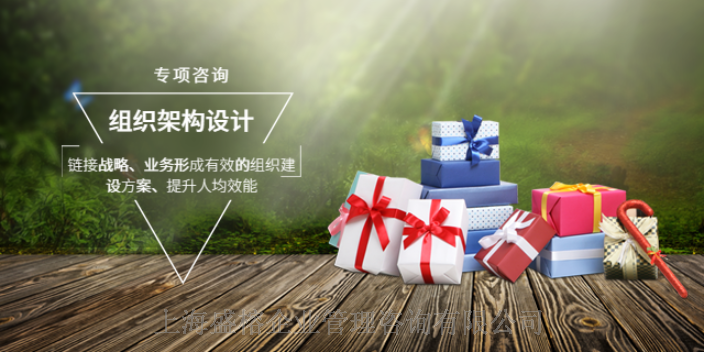 虹口區人力資源管理咨詢值得推薦 客戶至上 上海盛榕企業管理咨詢供應