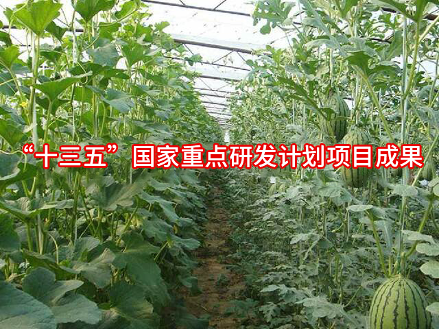 光能寶1號po膜轉光膜-山東碩豐塑料制品有限公司