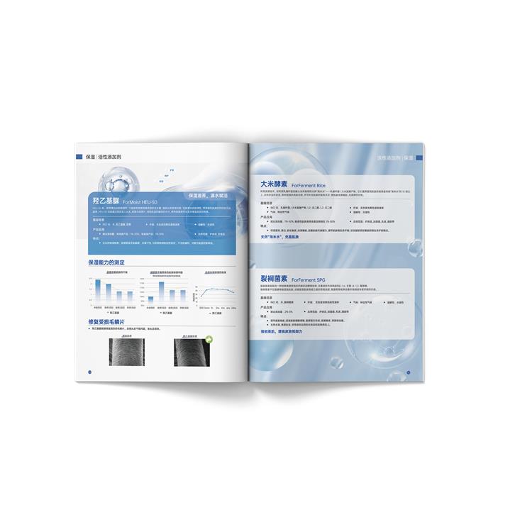 智能科技畫冊設(shè)計(jì)價(jià)格 十年征程