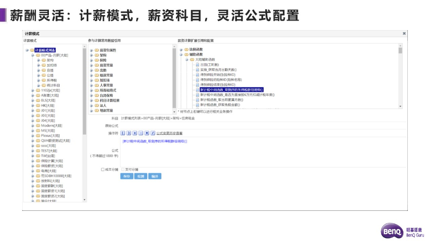 仪表薪酬管理系统项目,薪酬管理