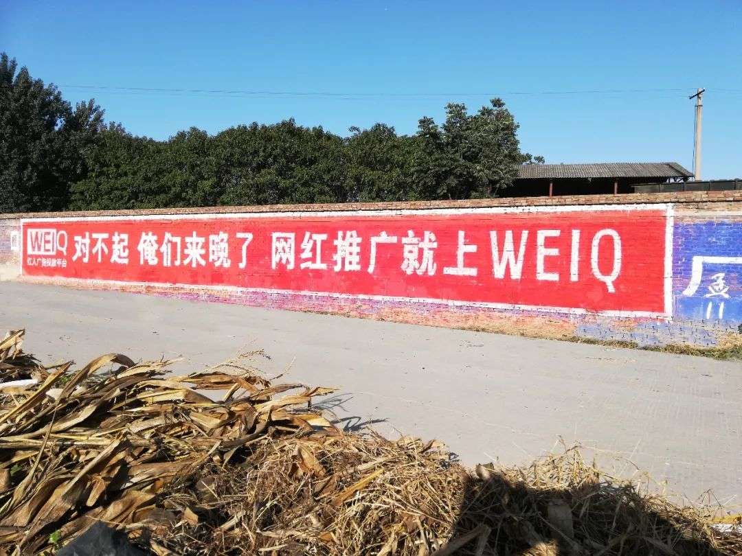 广东阳江振兴乡村绘画越看越上头！ 陆河墙体广告