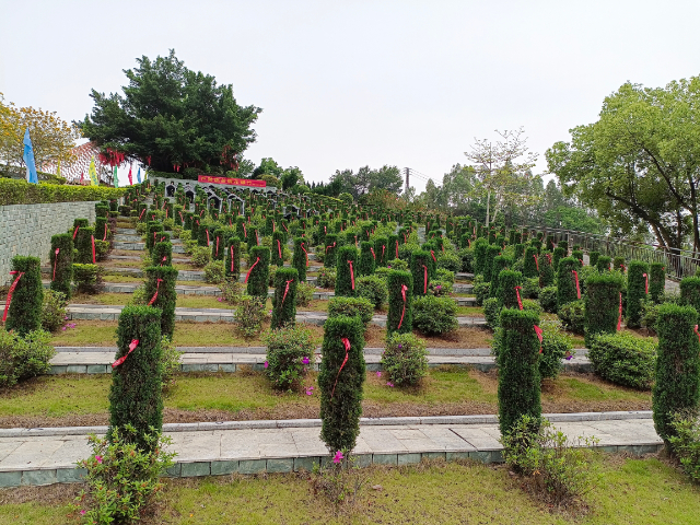 宝安区陵园墓地公司,墓地