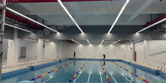 東莞民宿游泳池藥劑供應(yīng)商 誠(chéng)信為本 東莞市奔浪泳池設(shè)備供應(yīng)