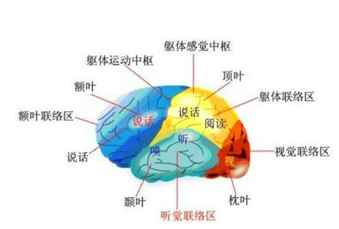 贵阳本地潜能开发培训班 服务至上 贵州六唯教育供应