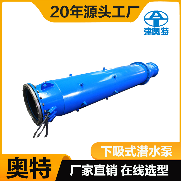 QJX型倒立式抽水泵 耐氣蝕 水渠里面取水 大功率下吸式潛水泵 定制發貨