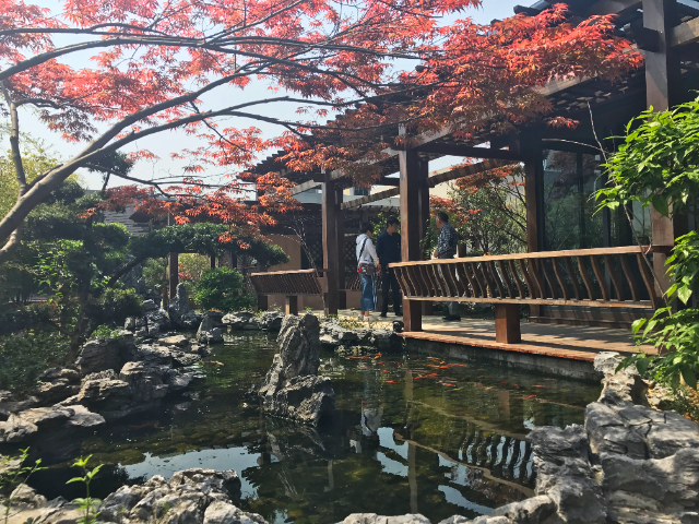 浙江頂樓露臺花園景觀設計 真誠推薦 杭州一禾園林景觀工程供應