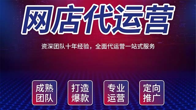 商河一站式淘宝代运营企业 诚信服务 山东胜三六九电子商务供应