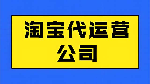 阜陽淘寶代運營哪家好 誠信為本 山東勝三六九電子商務供應