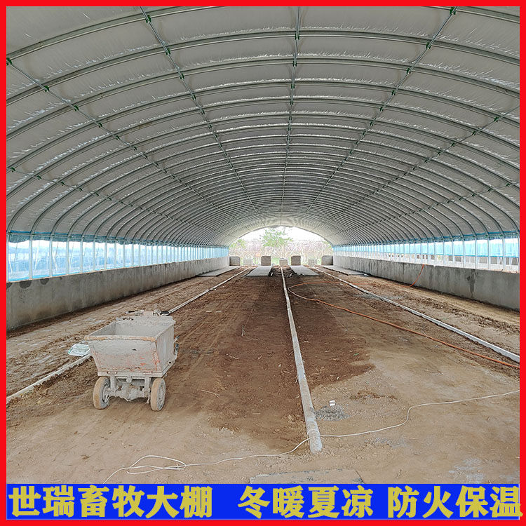 大型养牛场牛棚建设 牛舍大棚搭建 肉牛养殖大棚建造