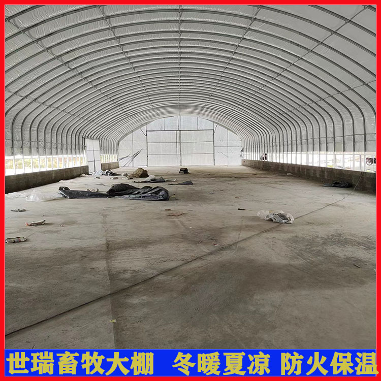 散養(yǎng)鵝棚建設(shè)價(jià)格 鵝棚搭建方法 養(yǎng)鵝大棚安裝廠家
