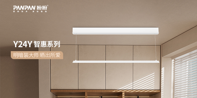 廣西晾曬衣架都有什么功能 廣東芳園盼盼智能科技供應 廣東芳園盼盼智能科技供應