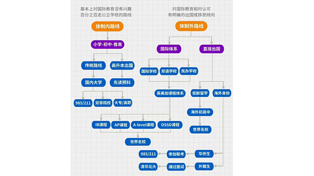 驻马店多元留学服务报名,留学服务