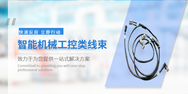 上海電池盒主控線束廠家 上海瑞迪云纜供應