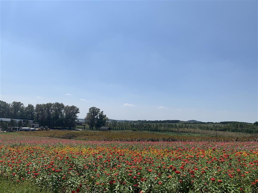 沈阳龙福山墓地草坪葬