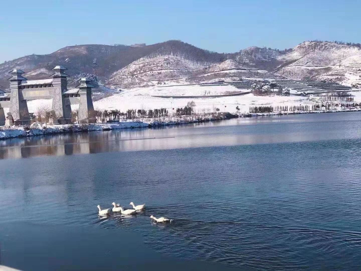 沈阳青云山墓园树葬