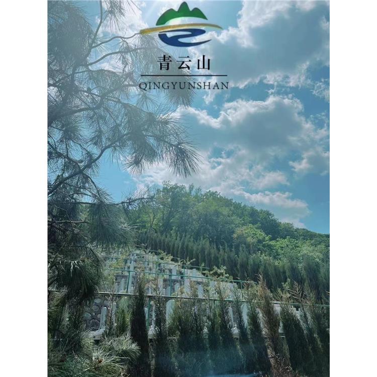 沈陽青云山墓地在哪里 免費擇日安葬