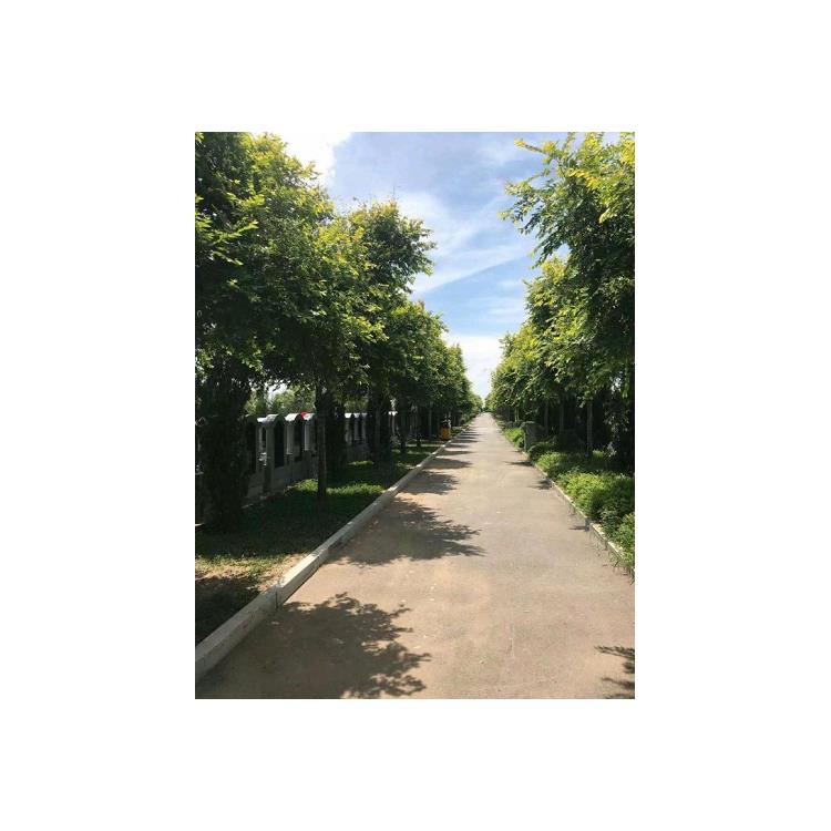 沈陽龍生公墓多少錢 免費擇日安葬