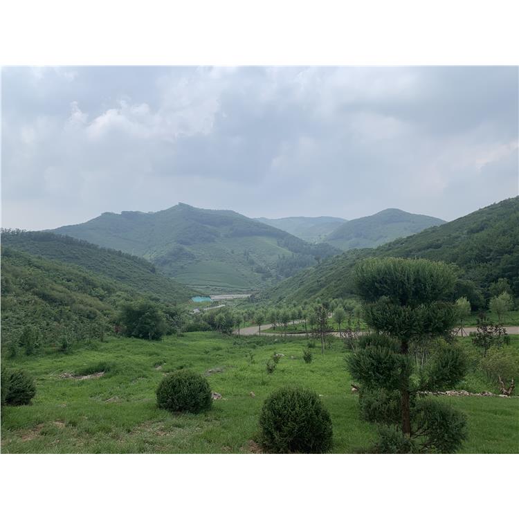沈陽森林紀念園墓園環境怎么樣 免費安葬指導