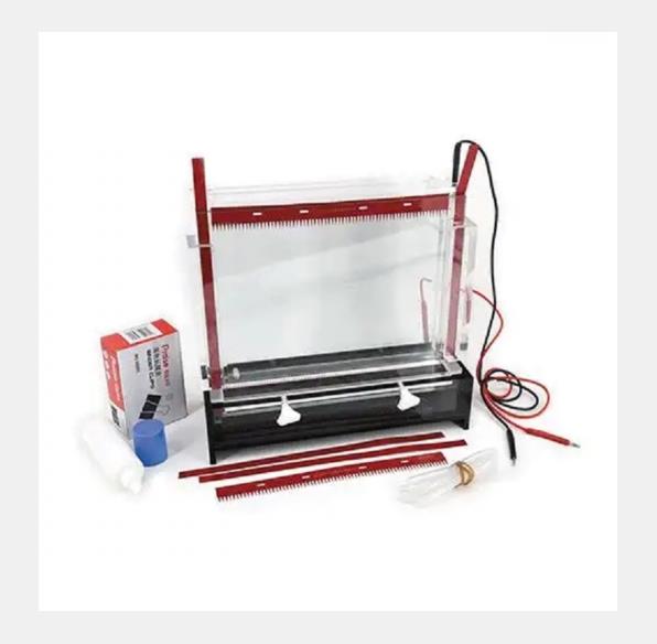 DNA序列分析器 型號:DYCZ-20C