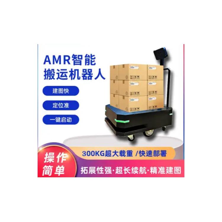 搬運碼垛機器人開發公司