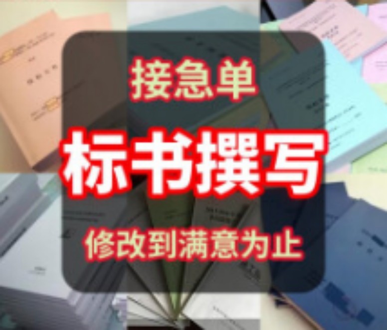 成都专门电子标书代上传服务公司