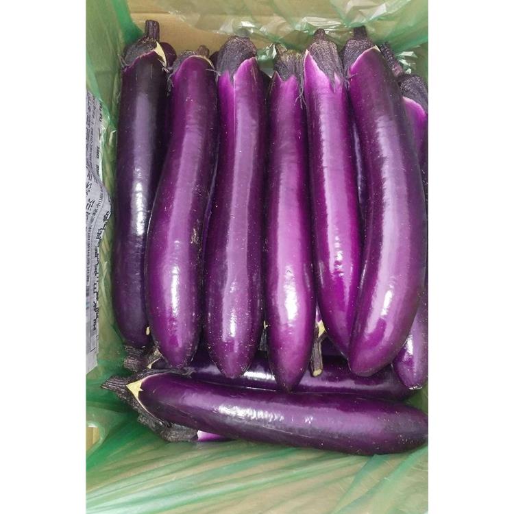 鼓樓**蔬菜配送價格