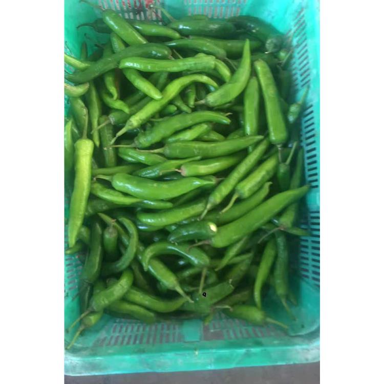 高埗農(nóng)副產(chǎn)品配送中心