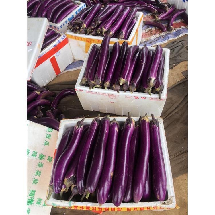 金平**蔬菜配送價格