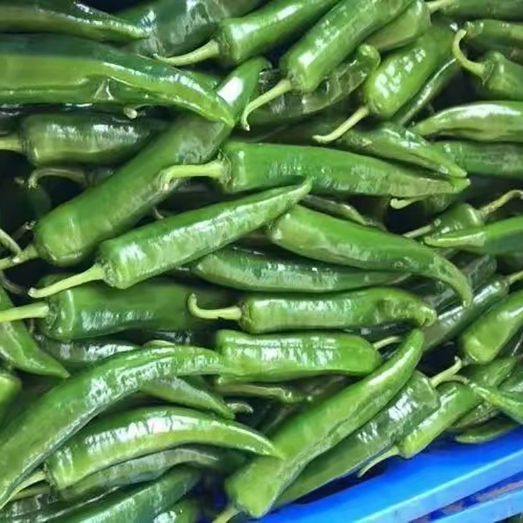 安順**蔬菜配送供應(yīng)商