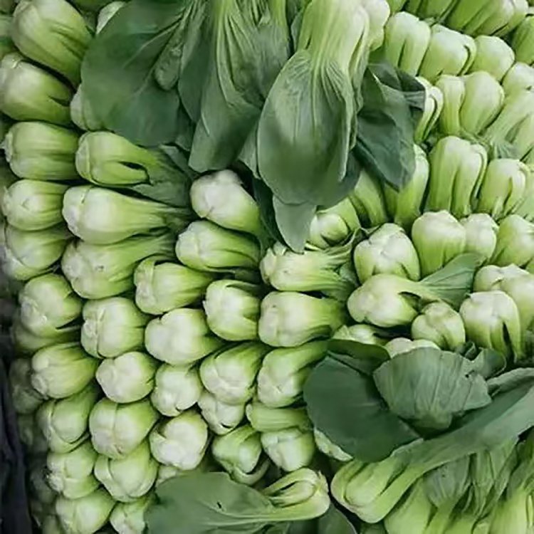貴陽蔬菜配送價格