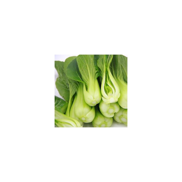 天河**蔬菜配送價(jià)格