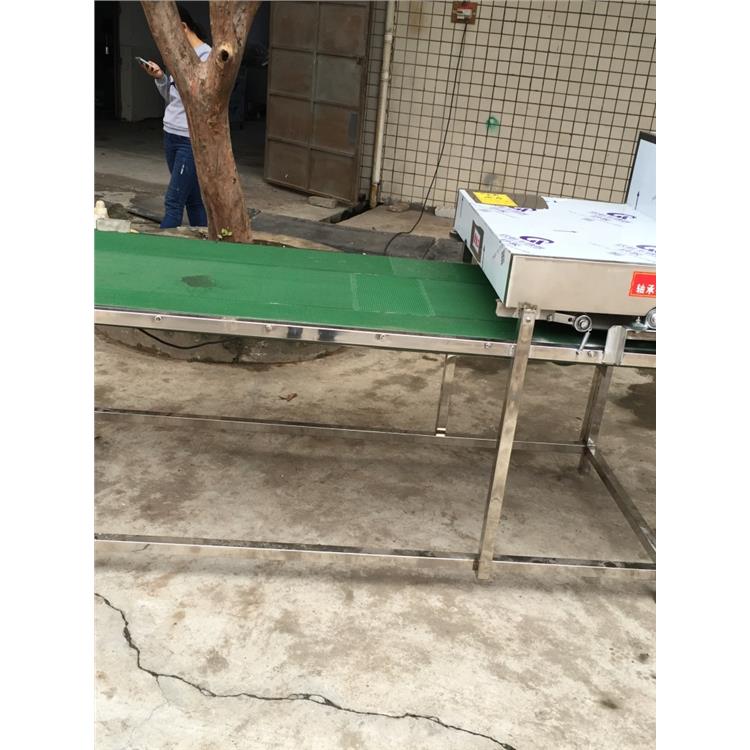 湛江魷魚去皮機工廠