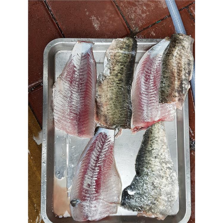 臺州魷魚筒去皮廠家