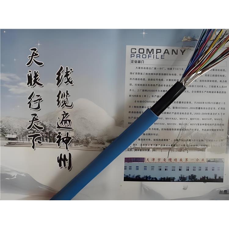 成都礦用通信電纜廠家 MHYBV礦用通信電纜 做工精細