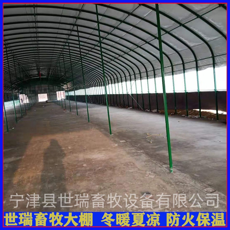 散養鵝棚搭建 鵝舍大棚建設 保溫鵝苗養殖大棚