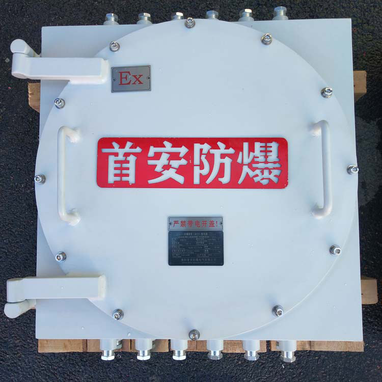 防爆電氣箱 深圳防爆防腐配電箱