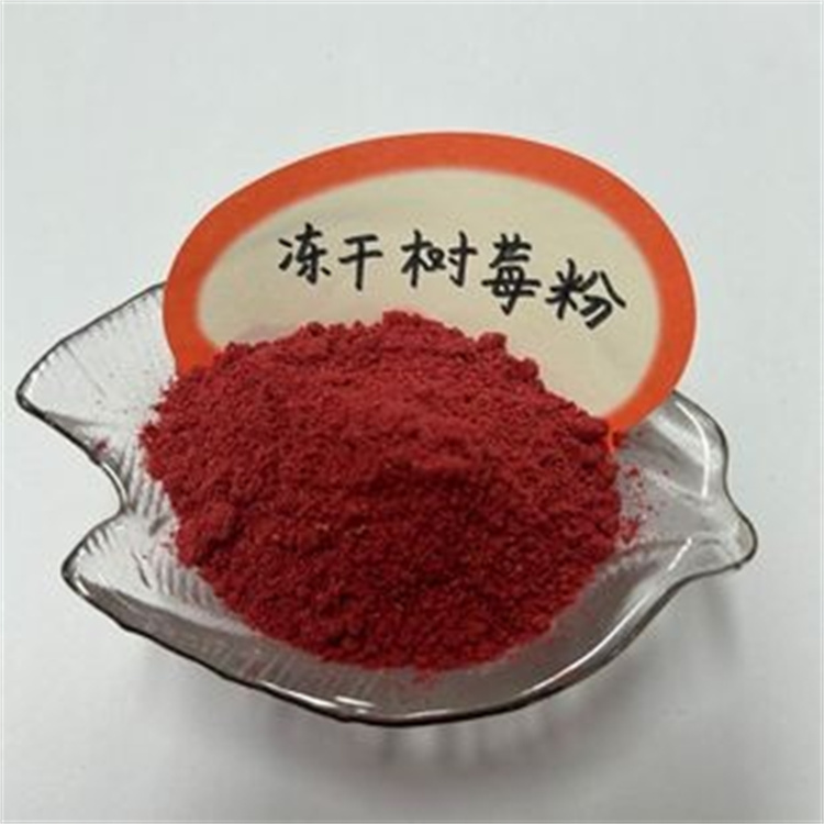 黑加侖凍干粉 現貨供應支持樣品定制