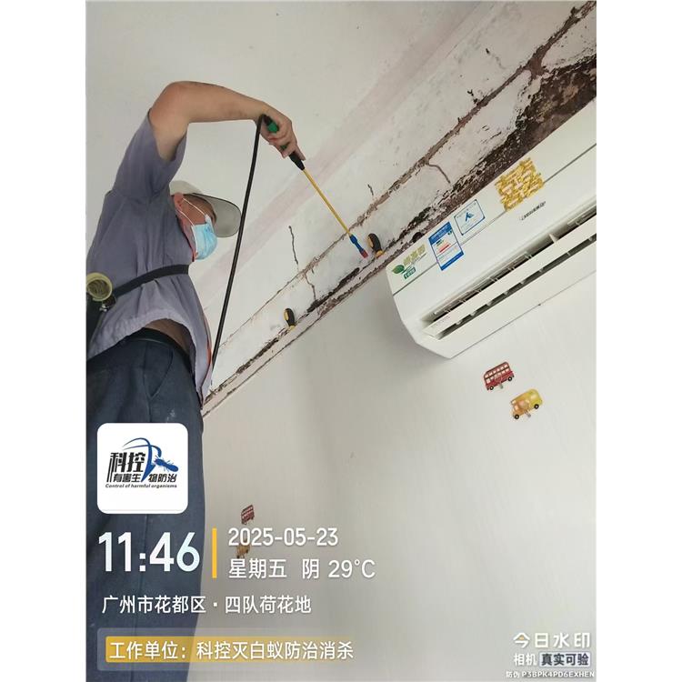 從化區別墅白蟻工程 用料安全
