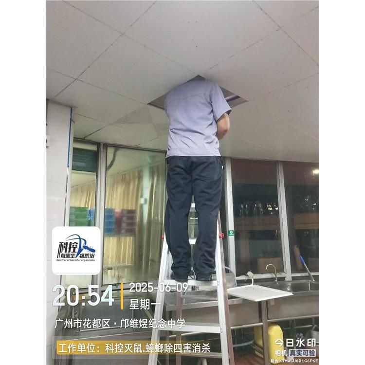白云區廠房四害消殺 科控防蟲 售后完善