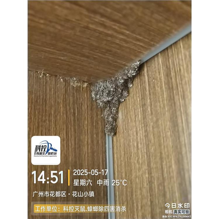 佛山三水別墅白蟻防治