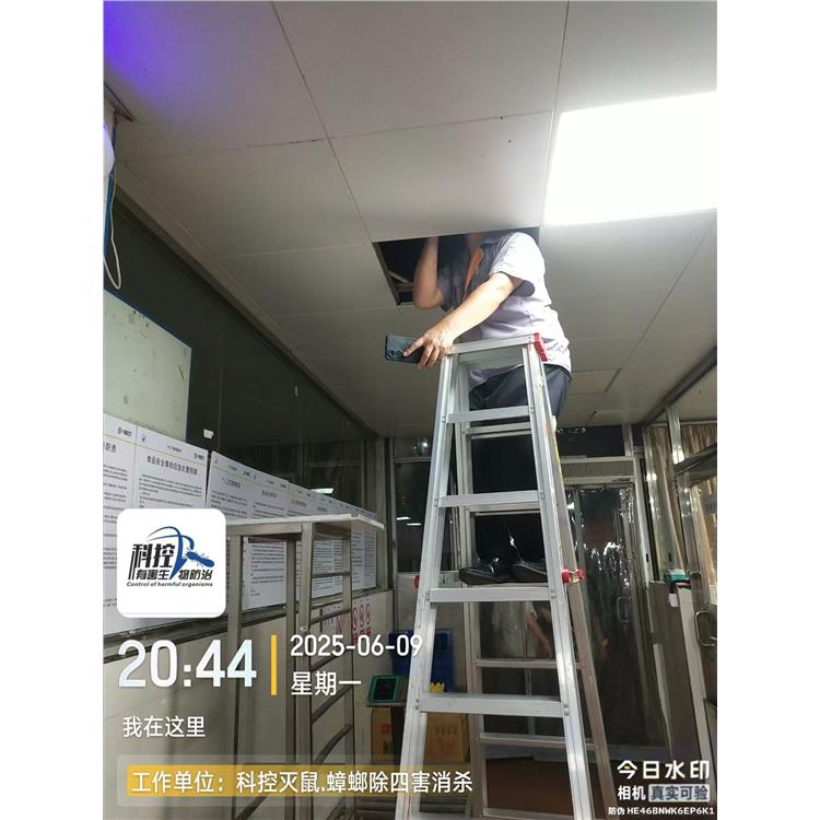 廣州別墅滅跳蚤 科控防蟲 服務熱情