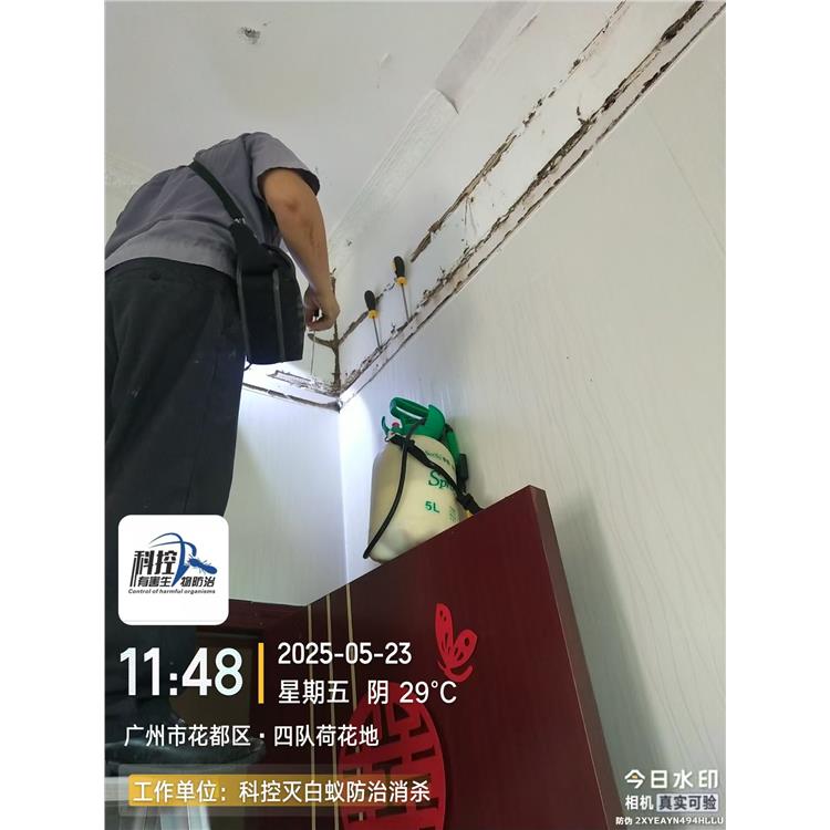 別墅除四害 科控防蟲 經驗豐富